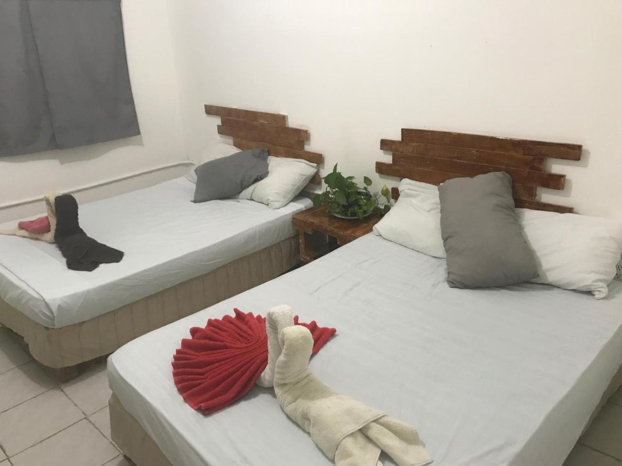 Guacamundo Beach Hostel 5Th. Ave Playa del Carmen Exteriér fotografie