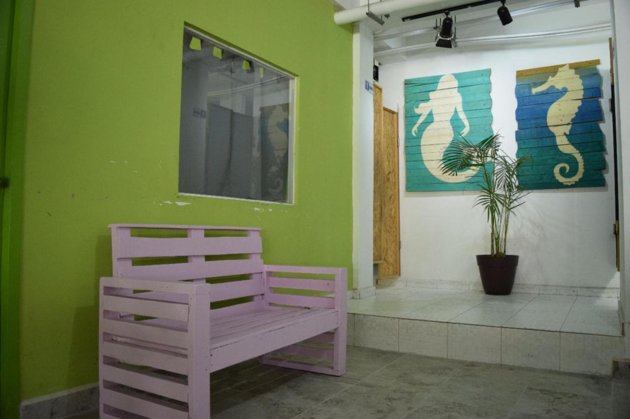 Guacamundo Beach Hostel 5Th. Ave Playa del Carmen Exteriér fotografie