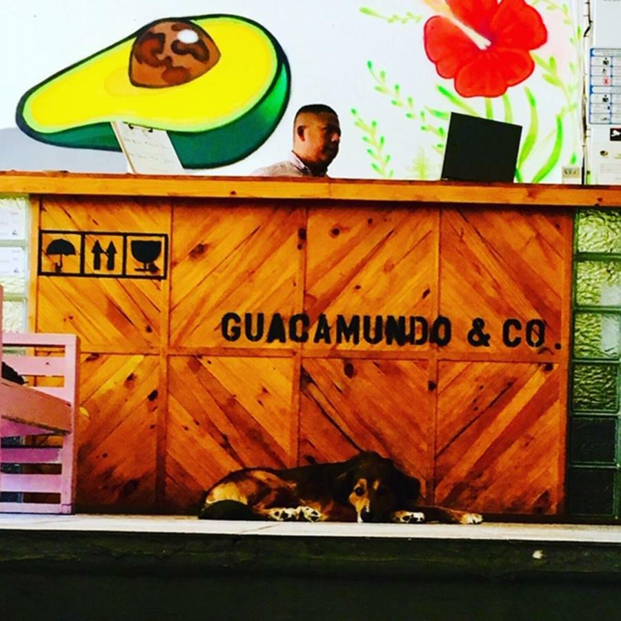 Guacamundo Beach Hostel 5Th. Ave Playa del Carmen Exteriér fotografie